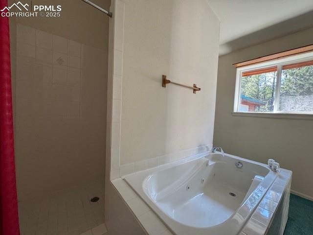 523 Spruce Lake Drive, Divide, CO 80814