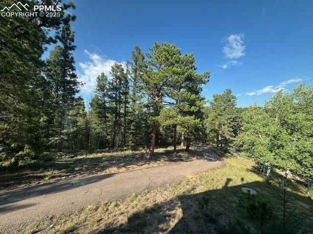523 Spruce Lake Drive, Divide, CO 80814