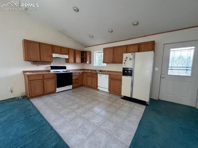 523 Spruce Lake Drive, Divide, CO 80814