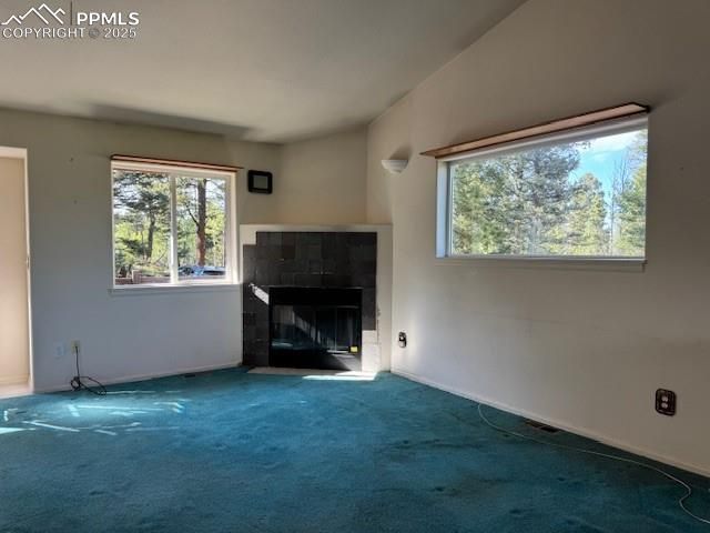 523 Spruce Lake Drive, Divide, CO 80814