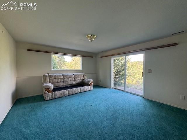 523 Spruce Lake Drive, Divide, CO 80814