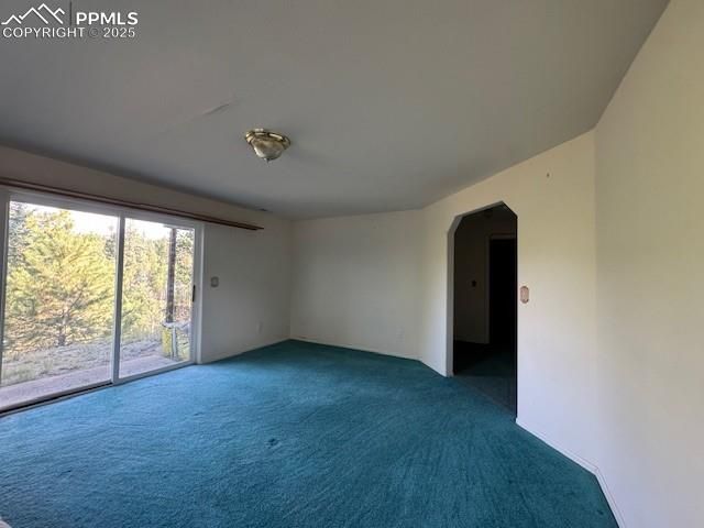 523 Spruce Lake Drive, Divide, CO 80814