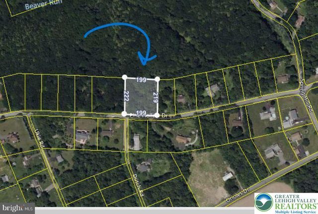 Pine Hollow Drive, Mahoning Twp, PA 18235