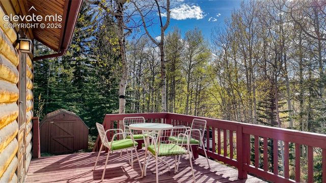 128 Brook Drive, Lake George, CO 80827
