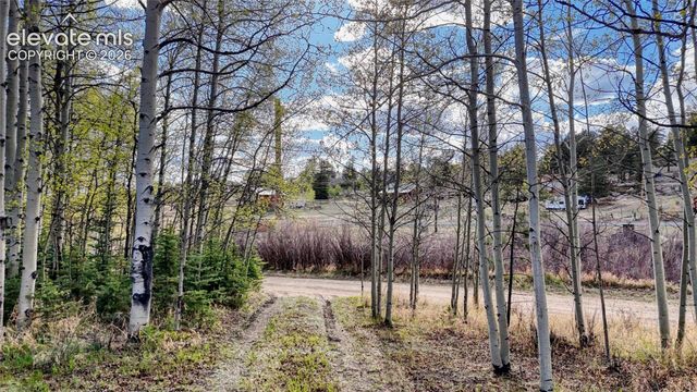 128 Brook Drive, Lake George, CO 80827