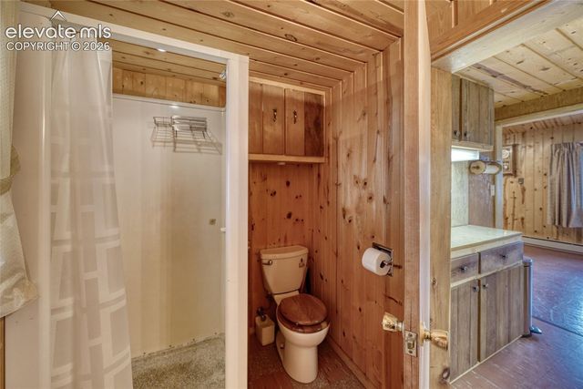 128 Brook Drive, Lake George, CO 80827