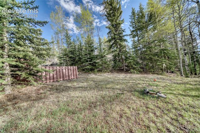 128 Brook Drive, Lake George, CO 80827