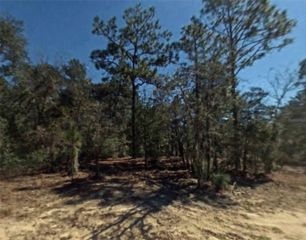 2809 OAKRIDGE STREET, Inverness, FL 34452