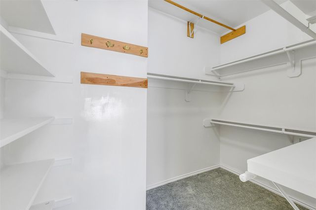 7619 Limber Bough Drive, Humble, TX 77346