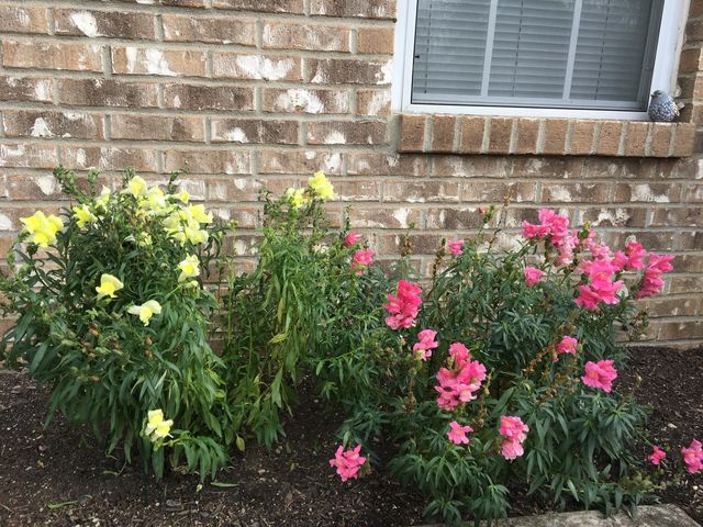 2506 Timberside Drive, Columbus, OH 43235