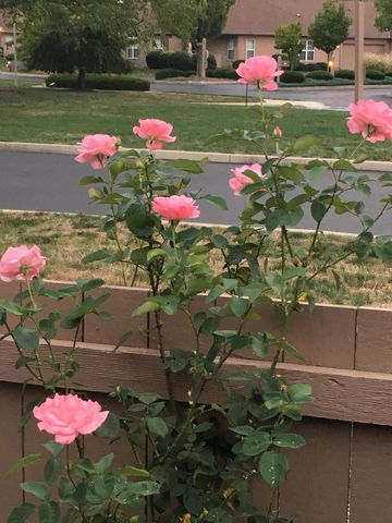 2506 Timberside Drive, Columbus, OH 43235