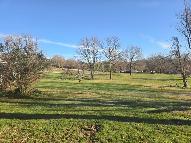 310 Maple Street, Cabool, MO 65689