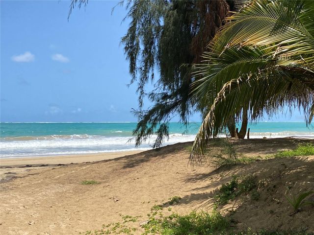 Park Plaza 4429 AVE ISLA VERDE 12, Carolina, PR 00979