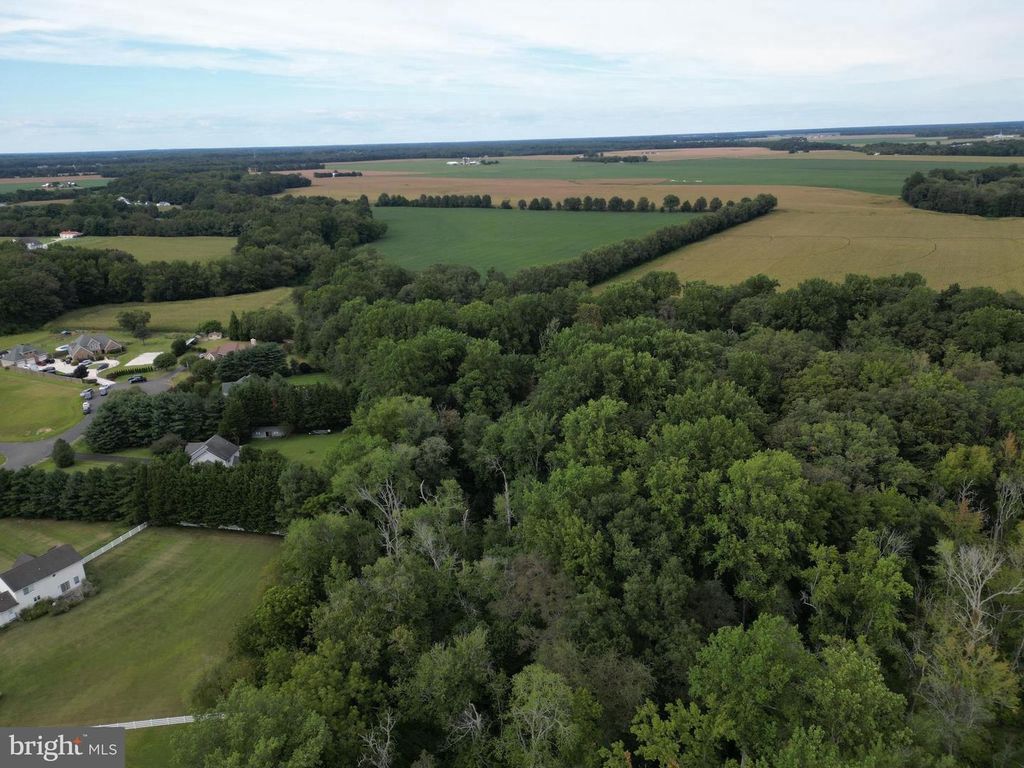 MASON BRANCH RD, Queen Anne, MD 21657