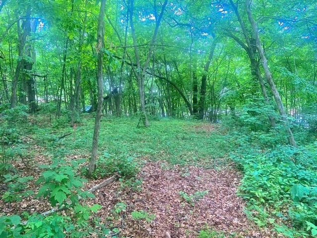 TBD 98th Street NW, Zimmerman, MN 55398 — photo 2