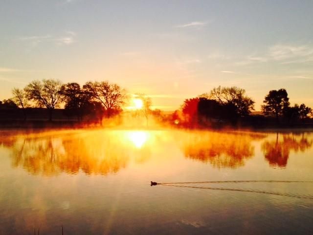 144 Riverfront LN, Kingsland, TX 78639
