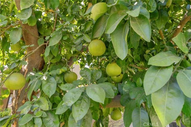 72834 Fleetwood Circle, Palm Desert, CA 92260