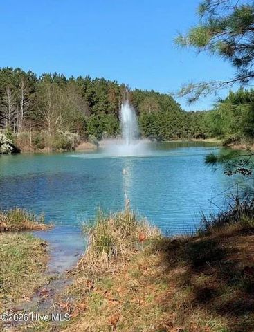 433 Riversound Drive, Edenton, NC 27932