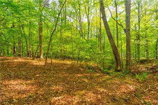 4033 Hidden Hollow Drive, Gainesville, GA 30506