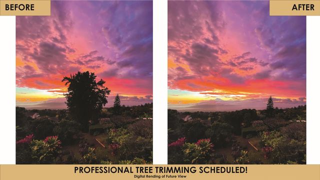 4010 Kula Hwy, Kula, HI 96790