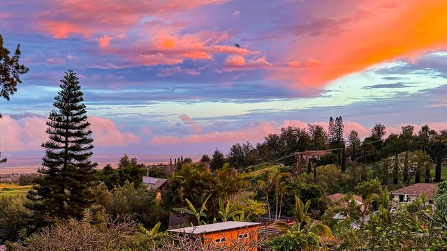 4010 Kula Hwy, Kula, HI 96790