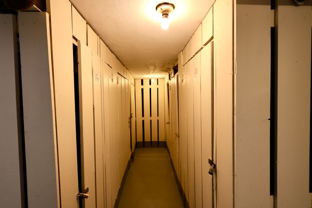 10111 Old Orchard Court 203, Skokie, IL 60076