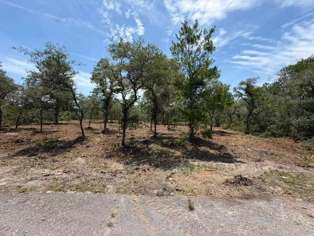 FISHER WAY TRACK, Ocklawaha, FL 32179