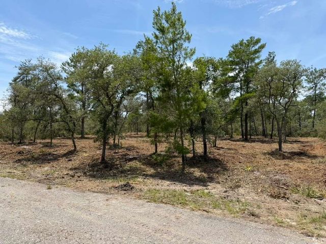 FISHER WAY TRACK, Ocklawaha, FL 32179