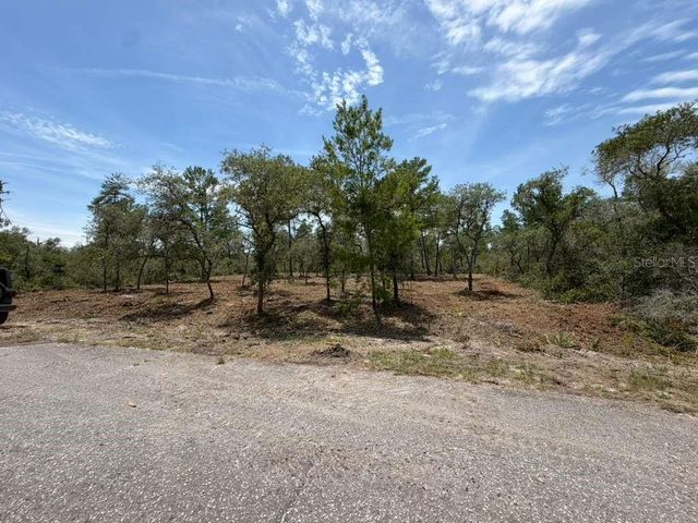 FISHER WAY TRACK, Ocklawaha, FL 32179