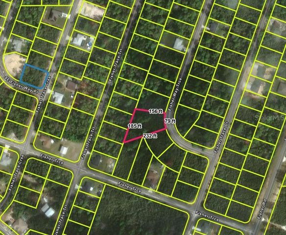 FISHER WAY TRACK, Ocklawaha, FL 32179