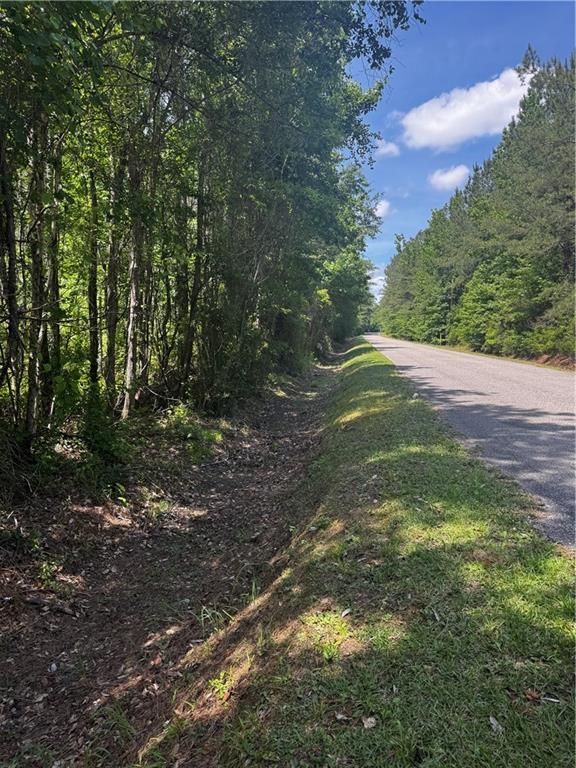 0 Jackson Street, Mount Vernon, AL 36560 — photo 2