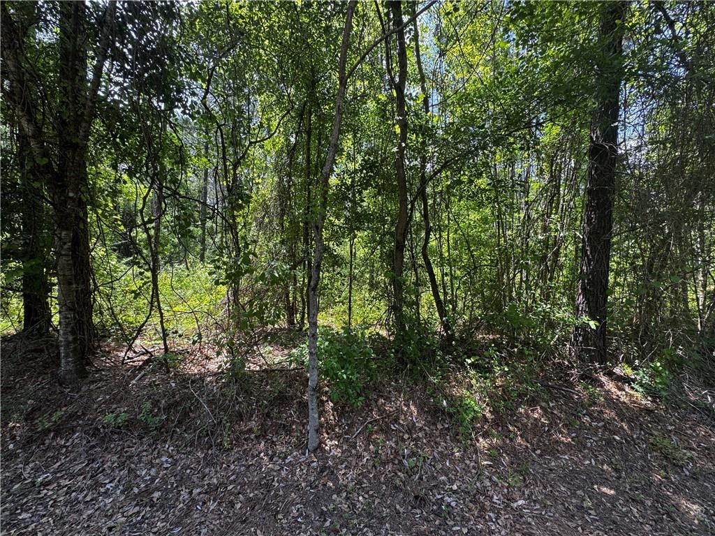0 Jackson Street, Mount Vernon, AL 36560 — photo 4