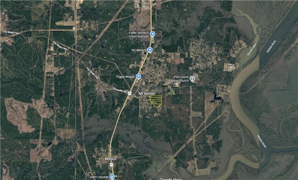 0 Jackson Street, Mount Vernon, AL 36560 — photo 5