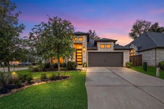 405 Elevation Avenue, Montgomery, TX 77316