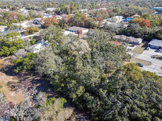 1241 SYLVIA AVENUE, Spring Hill, FL 34606