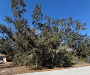 1241 SYLVIA AVENUE, Spring Hill, FL 34606