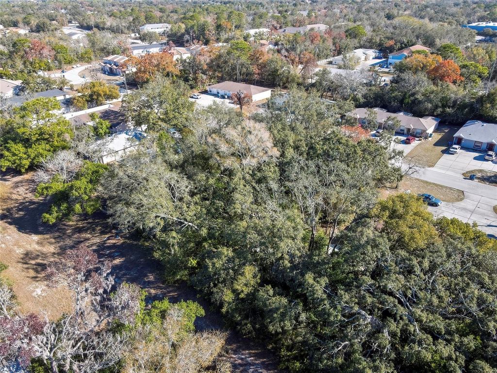 Image 9 of property listing at 1241 SYLVIA AVENUE, Spring Hill, FL 34606