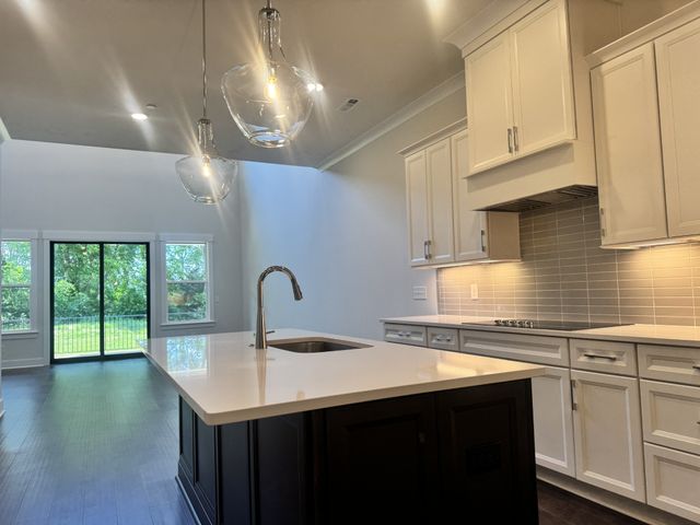 2088 Conductor Ln, Thompsons Station, TN 37179