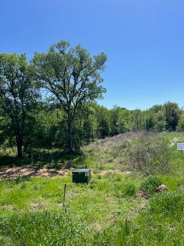 1004 Bermes Court, Brock, TX 76087