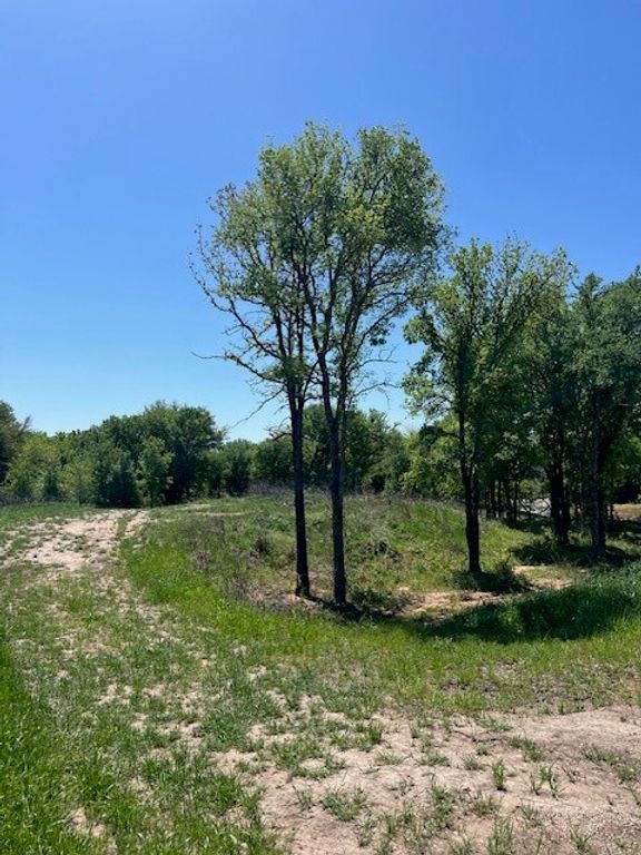 1004 Bermes Court, Brock, TX 76087
