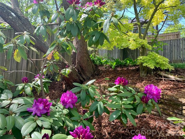 23 Tuskeegee Street, Asheville, NC 28801