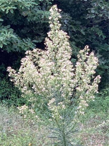 0 Jordan Road, Martinsville, IN 46151