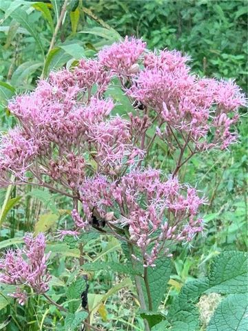 0 Jordan Road, Martinsville, IN 46151