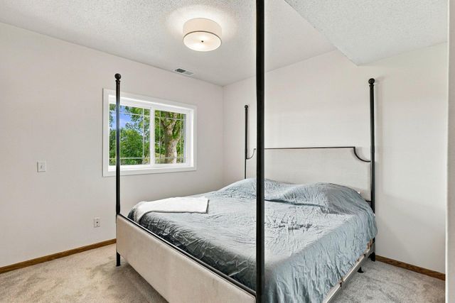 315 William Lake Shore Drive, Waconia, MN 55387