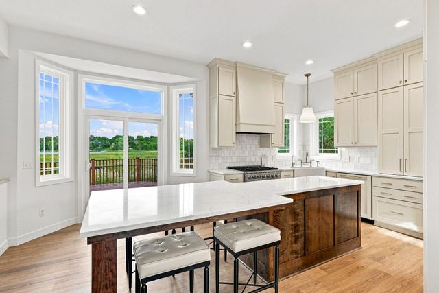 315 William Lake Shore Drive, Waconia, MN 55387