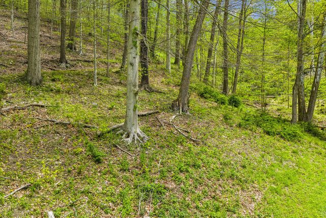 2955 Pine Grove ROAD, Industry, PA 15052
