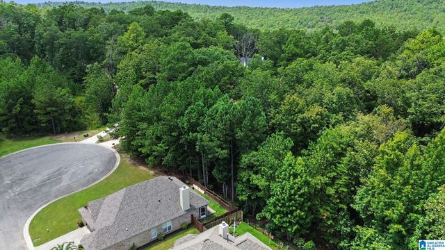 2082 NARROWS POINT COVE, Birmingham, AL 35242