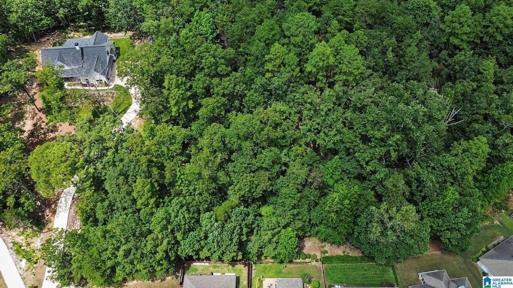 2082 NARROWS POINT COVE, Birmingham, AL 35242