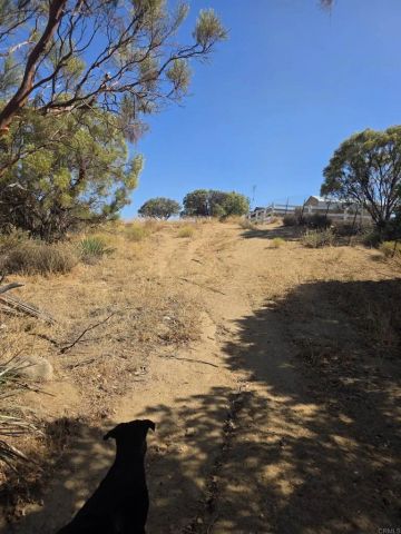 49 Brown Rocky, Anza, CA 92539