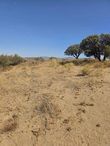 49 Brown Rocky, Anza, CA 92539